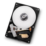 Hitachi 3.5" Deskstar 7K1000.D 1TB - Hard Drive