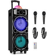 Fenton LIVE290 - Speakers