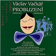 Váckar Václav: Wake - CD - Music CD