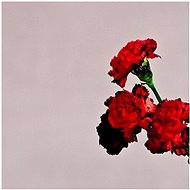 Legend John: Love In The Future - CD - Hudební CD