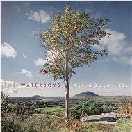 Waterboys: All Souls Hill - LP - LP vinyl