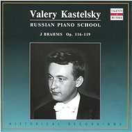 Kastelsky Valery: Instrumental - CD - Music CD