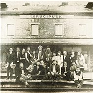 Krucipüsk: Family Dictate - LP - LP Record