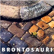 Brontosauři: Na kameni kámen - CD - Hudební CD