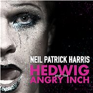Various: Hedwig And The Angry Inch (Coloured) (2x LP) - LP - LP Record