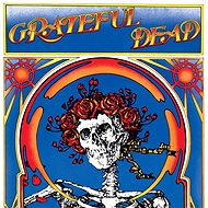 Grateful Dead: Grateful Dead (Skull & Roses) [Live] (2x LP) - LP - LP Record