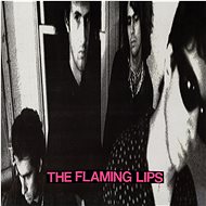 Flaming Lips: In A Priest Driven Ambulance - LP - LP Record
