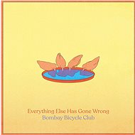 Bombay Bicycle Club: Everything Else Has Gone Wrong - Deluxe Edition (2x LP) - LP - LP Record