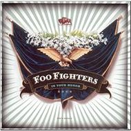 FOO FIGHTERS: In Your Honor (2x CD) - CD - Music CD