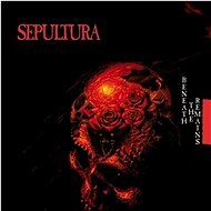 Sepultura: Beneath The Remains - CD - Music DVD