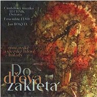 CM Technik & Flair Ensamble: Do dřeva zakletá (2x CD) - CD - Music CD