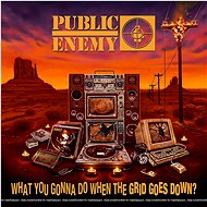 Public Enemy: What You Gonna Do When the Grid Goes Down? - CD - Music CD