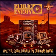 Public Enemy: What You Gonna Do When The Grid Goes Down? - LP - LP Record