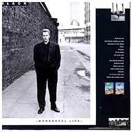 Black: Wonderful Life - CD - Hudební CD