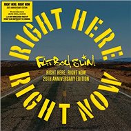 Fatboy Slim: Rsd - Right Here, Right Now Remixes - LP - LP Record