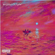 Dave: We're All Alone In This Together (2x LP) - LP - LP Record