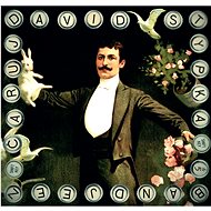 Stypka David: Enchant - LP - LP Record