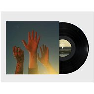 Boygenius: The Record - LP - LP Record