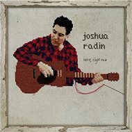 Radin Joshua: Here, Right Now - LP - LP Record