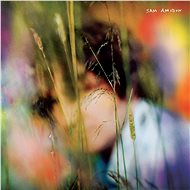Amidon Sam: Sam Amidon (2x LP) - LP - LP Record