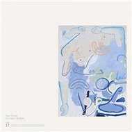 Banhart Devendra: Vast Ovoid - LP - LP Record