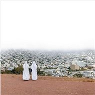 Death Cab For Cutie: Asphalt Meadows - LP Record