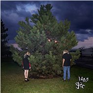 100 Gecs: 1000 Gecs - LP - LP vinyl