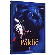 Paklíč - DVD - DVD Film