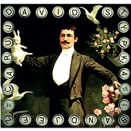 Stypka David: Čaruj - CD - Music CD