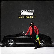 Shaggy: Wah Gwaan?! - CD - Music CD