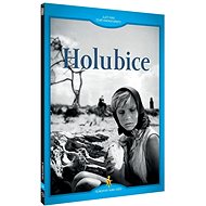 Dove - DVD - DVD Film