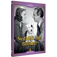 Have you seen Bobby? - DVD - DVD Film