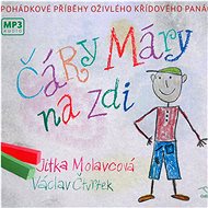 Jitka Molavcová: Lines on the wall - MP3-CD - Music CD