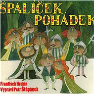 Stepanek Petr: Spalicek pohadek (2x CD) - CD - Music CD