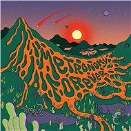 Metronomy: Metronomy Forever (2x LP) - LP - LP Record
