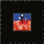 Django Django: Glowing In The Dark - CD - Music CD