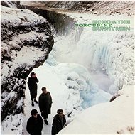 Echo & The Bunnymen: Porcupine - LP - LP Record