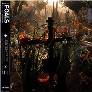 Foals: Foals Everything Not Saved Will Be Lost Part 2 - LP - LP Record