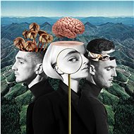 Clean Bandit: What Is Love? ( Deluxe Edition ) - CD - Music CD