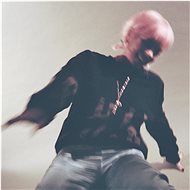 Allen Lily: No Shame - LP - LP vinyl