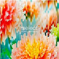 Various: Global Underground: Select #5 (2x CD) - CD - Music DVD
