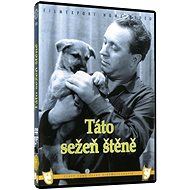Daddy Get the Puppy - DVD - DVD Film