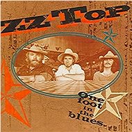 ZZ Top: One Fott In The Blues - CD - Hudební CD