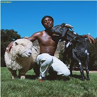 IDK: Is He Real? - LP - LP Record