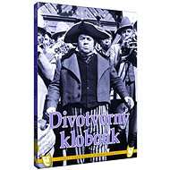 The Divotvorny Hat - DVD - DVD Film