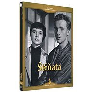 Štěňata - DVD - Film na DVD