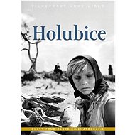 Holubice - DVD - Film na DVD