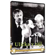 Alley in Paradise - DVD - DVD Film