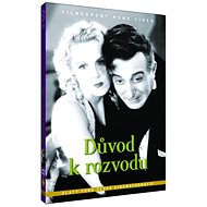 The Reason for Divorce - DVD - DVD Film