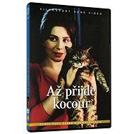 When the Cat Comes - DVD - DVD Film